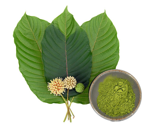 most potent white vein kratom